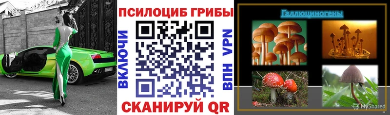 Псилоцибиновые грибы MAGIC MUSHROOMS  Абинск 