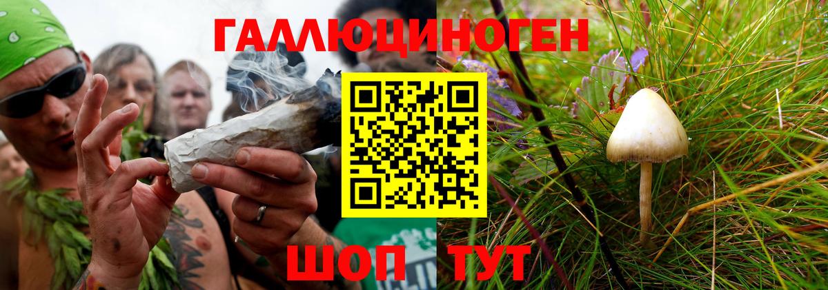 где купить наркоту  Галлюциногенные грибы Psilocybine cubensis  Вход с VPN  Абинск  Псилоцибиновые грибы ЛСД 